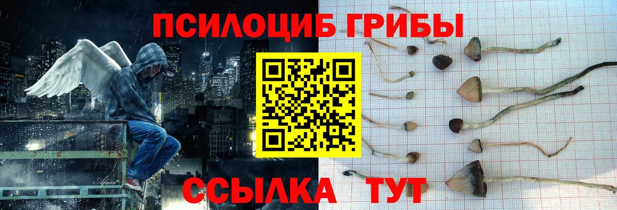 Галлюциногенные грибы Cubensis Нефтекумск